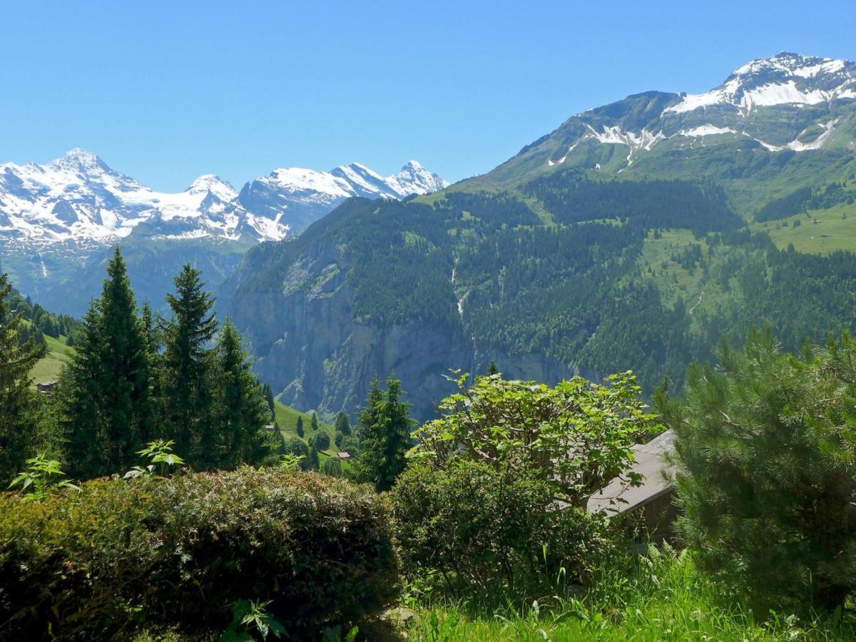 Chalet Zwaergli By Interhome Wengen Bagian luar foto
