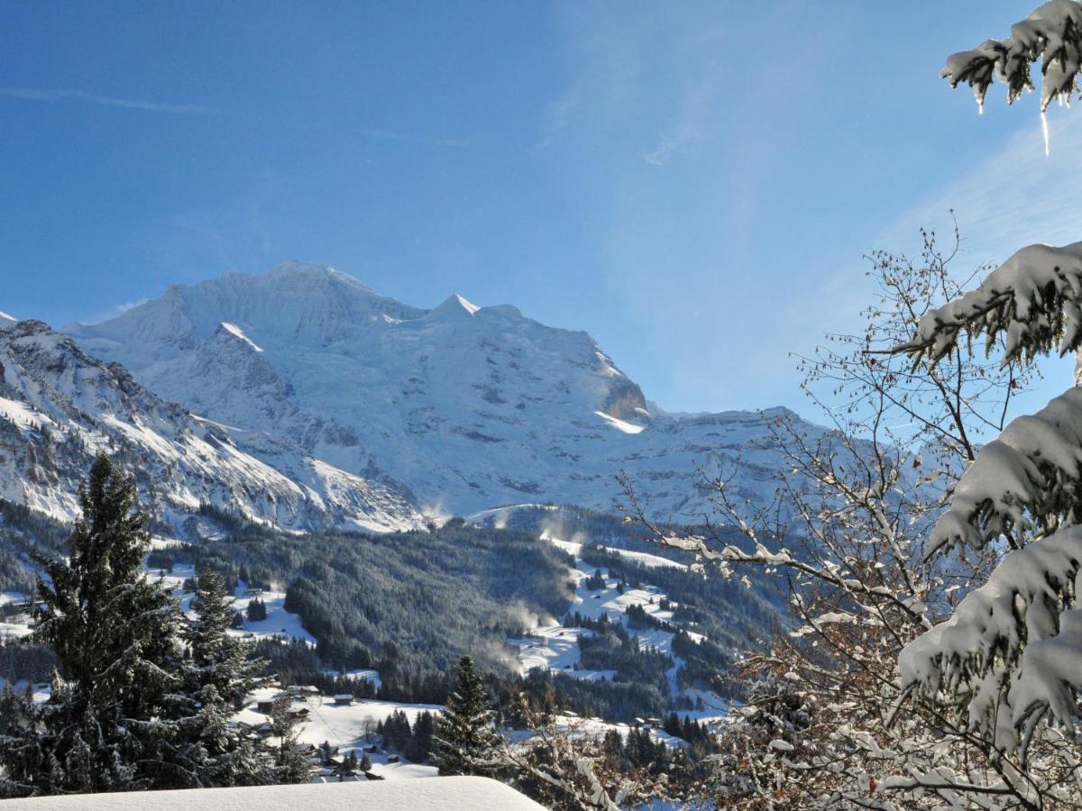 Chalet Zwaergli By Interhome Wengen Bagian luar foto